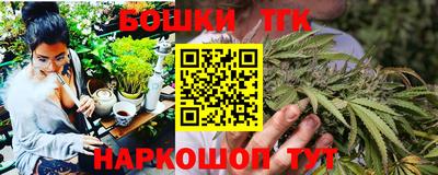 индика Славгород