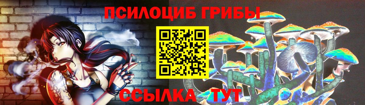 Псков  Псилоцибиновые грибы Psilocybe  Вход с VPN 